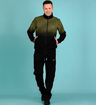 Мужской спортивный костюм с воротником стойка 16570